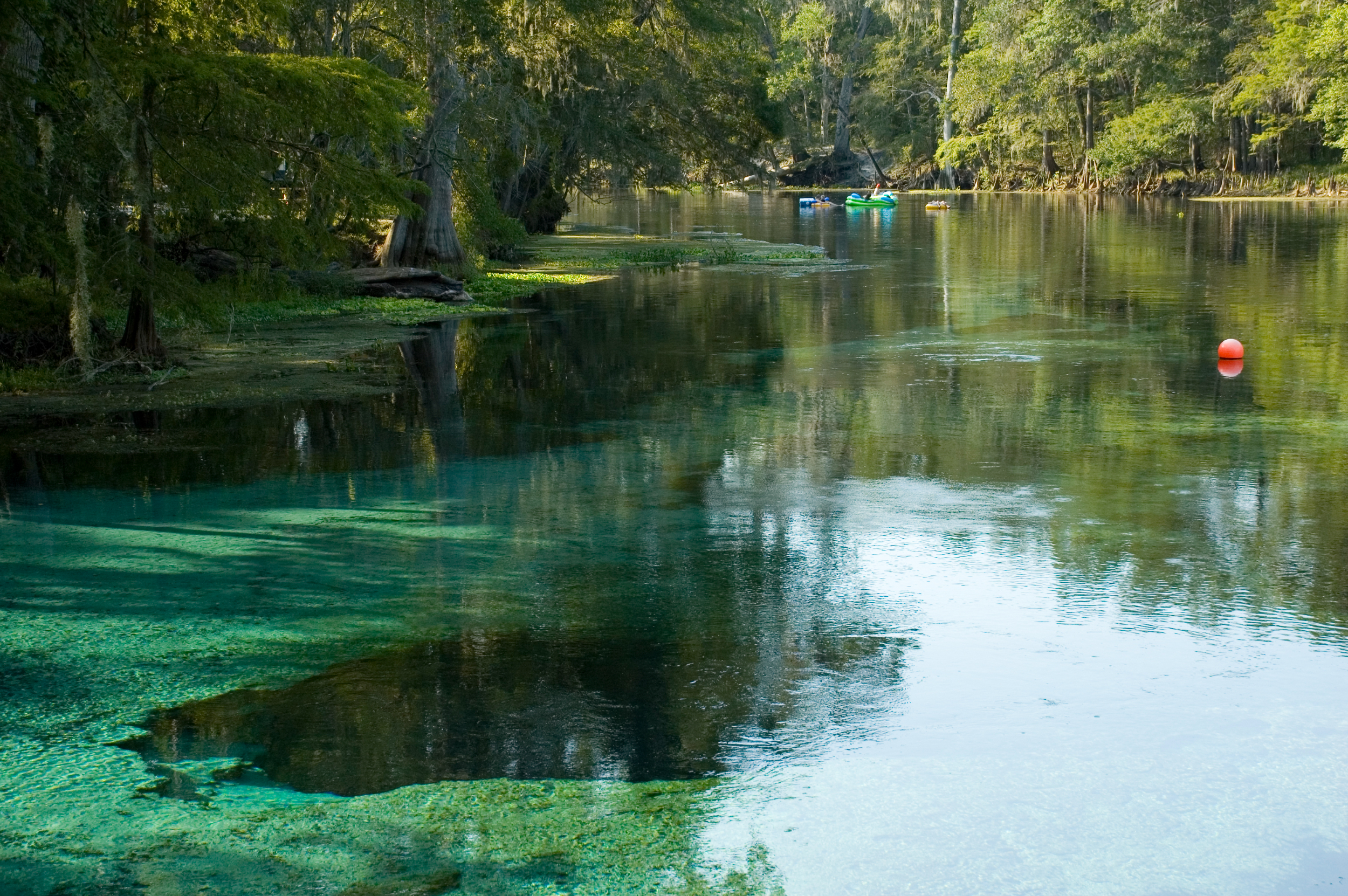 Scenic view of Florida springs