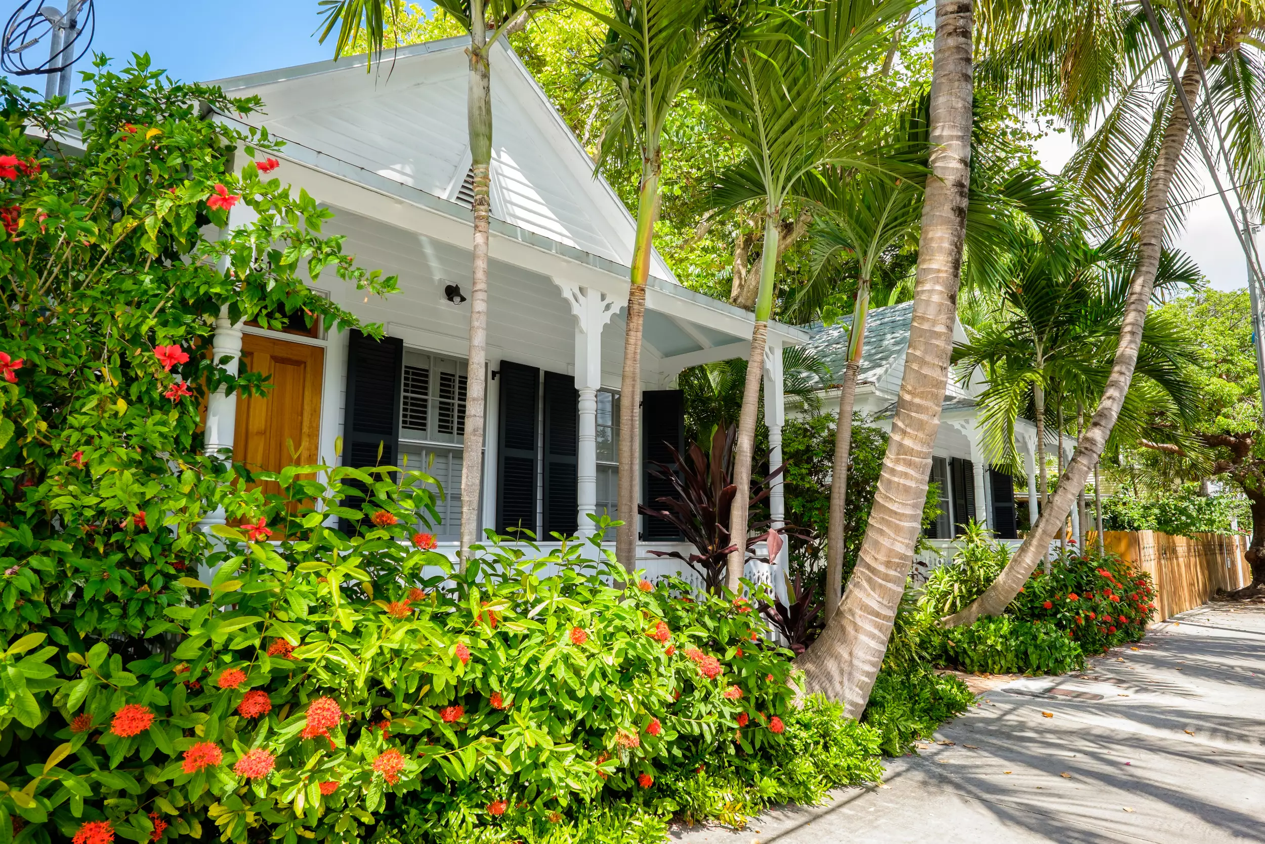 A bungalow style home with palm trees