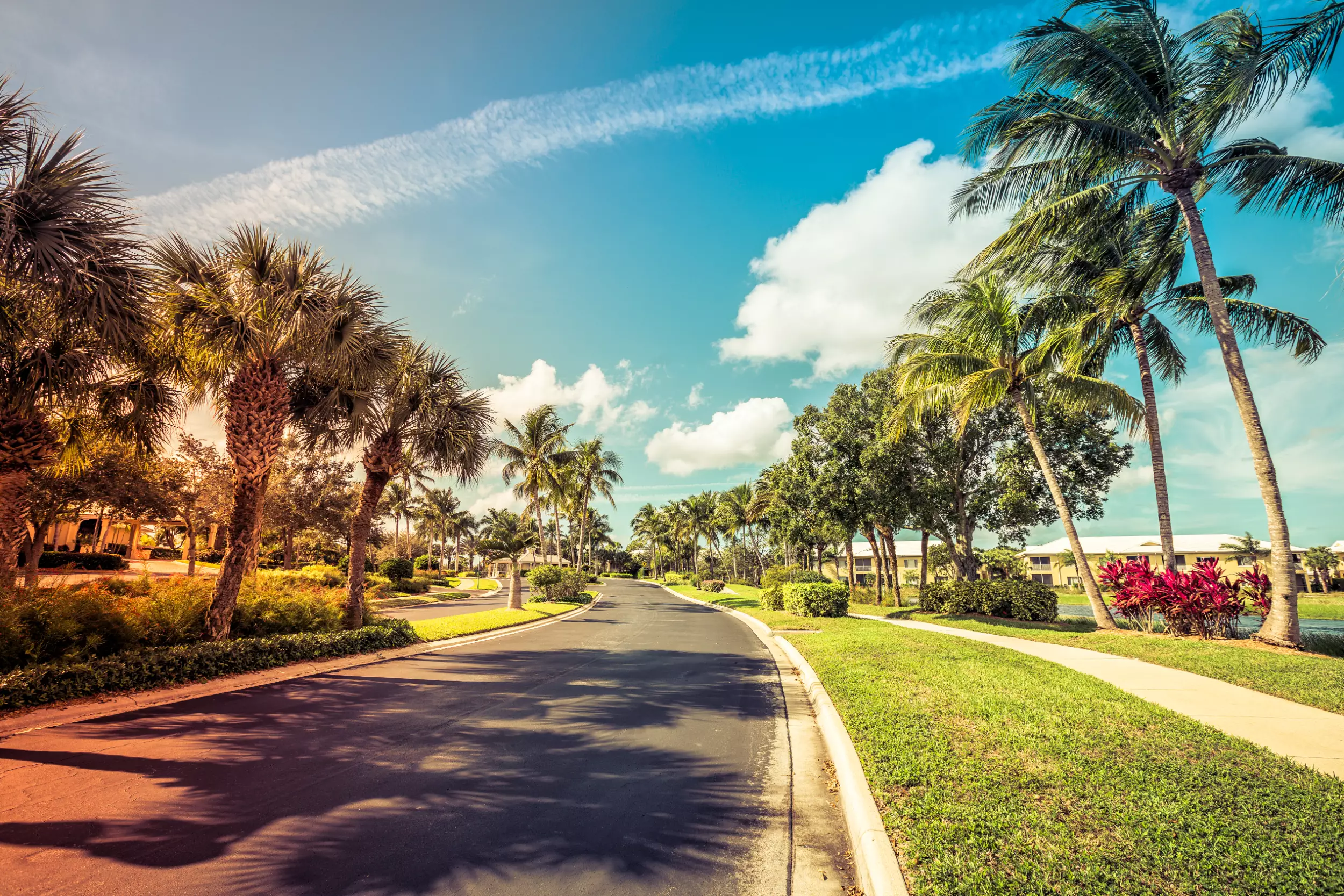 A palm tree lined street in Winter Haven, FL